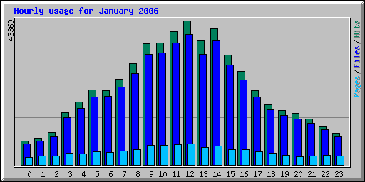 Hourly usage for January 2006